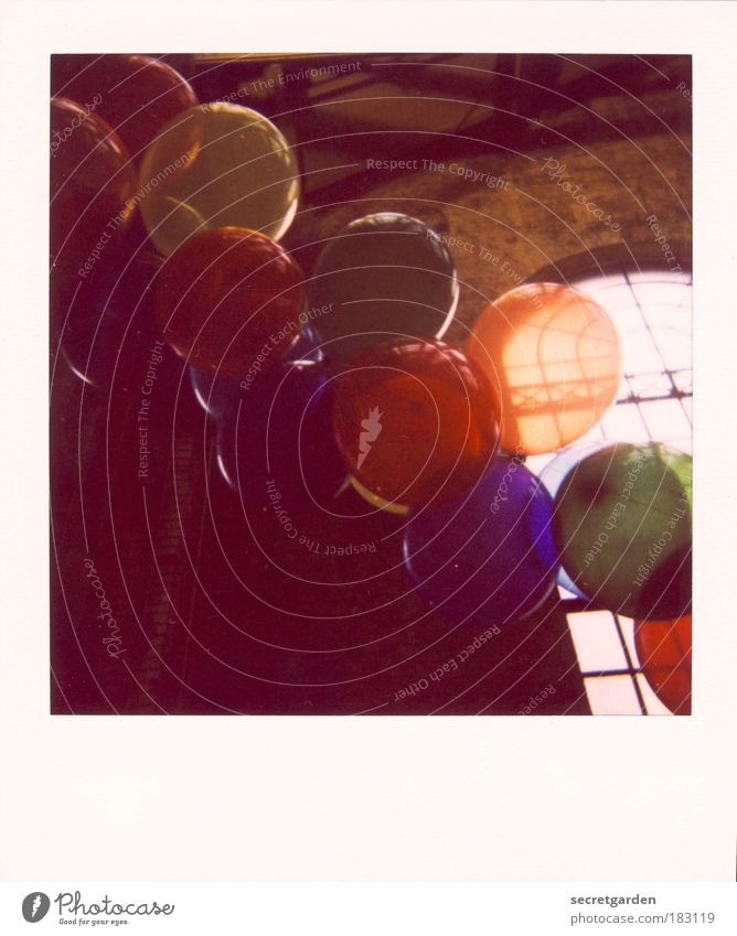 upstairs. Colour photo Multicoloured Interior shot Polaroid Deserted Copy Space top Copy Space bottom Sunlight Back-light Worm's-eye view Event