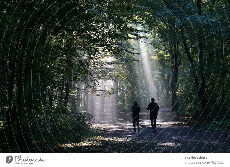 Jogger in the misty forest Lifestyle Fitness Leisure and hobbies Sports Jogging Human being Woman Adults Man Couple 2 Nature Autumn Weather Fog Forest Walking