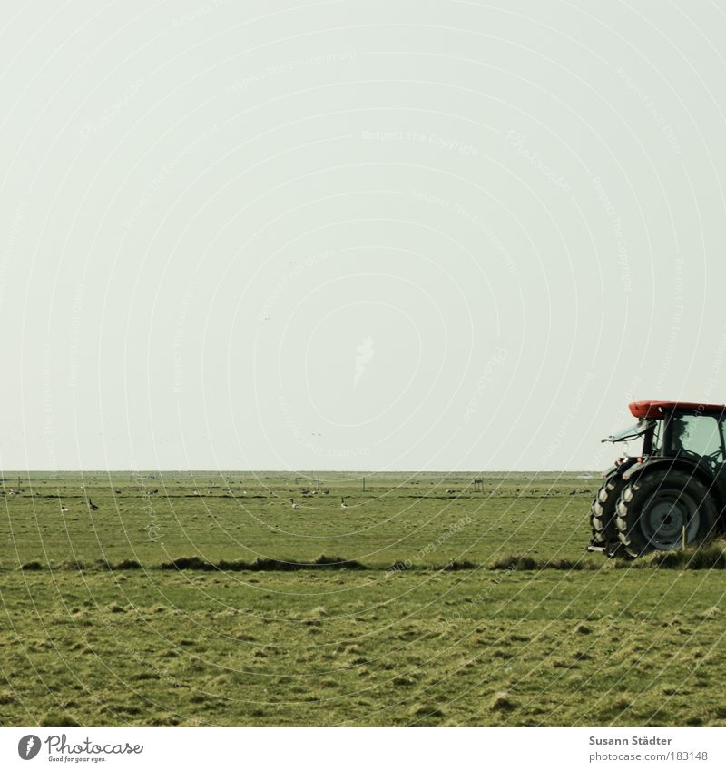 Small red tractor Machinery Engines Technology Landscape Plant Meadow Field Coast North Sea Island Driving Tractor Tuft of grass Harvest Agriculture
