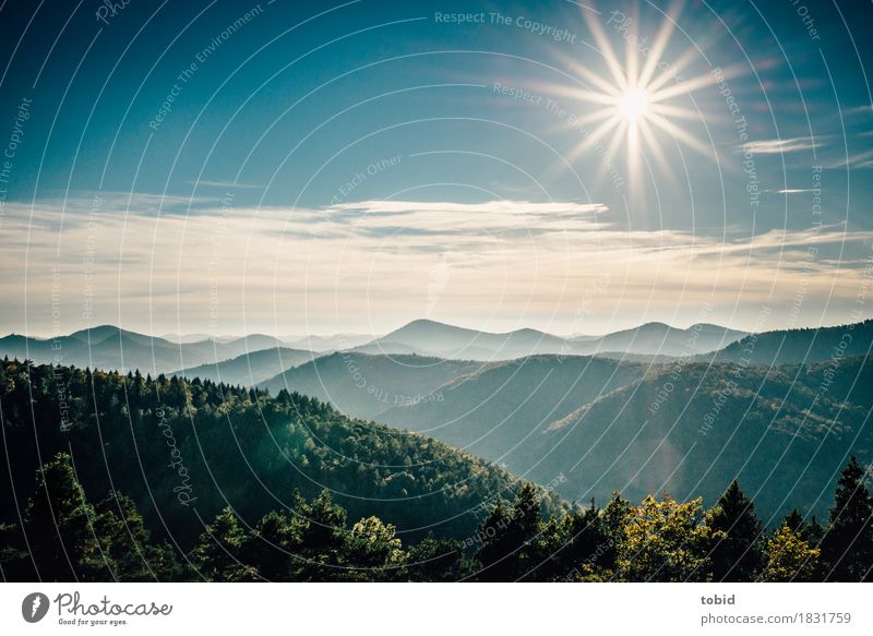 sunshine Nature Landscape Plant Sky Clouds Horizon Sun Beautiful weather Forest Hill Mountain Fantastic Free Friendliness Infinity Far-off places Haze