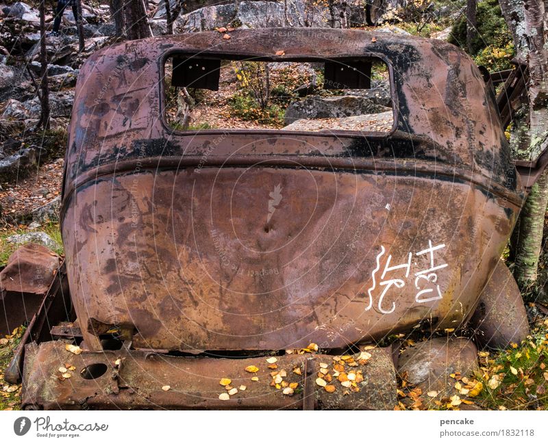 R.I.P. Nature Autumn Forest Vehicle Car Vintage car Characters Authentic Historic Broken Original Trashy Esthetic Bizarre Nostalgia Luxury Stagnating Death Past
