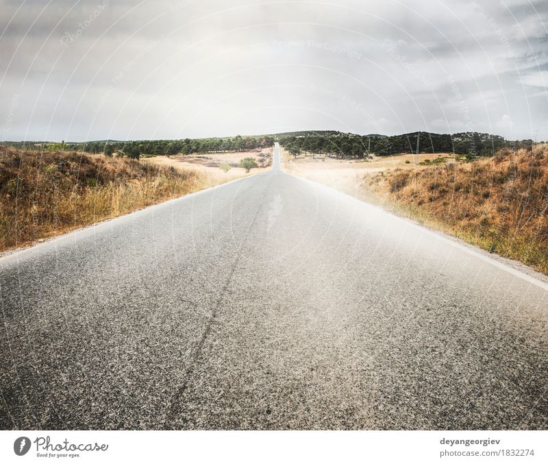 Road and dramatic cloudy sky Vacation & Travel Trip Freedom Summer Nature Landscape Sky Horizon Grass Meadow Town Transport Street Highway Speed Blue Green