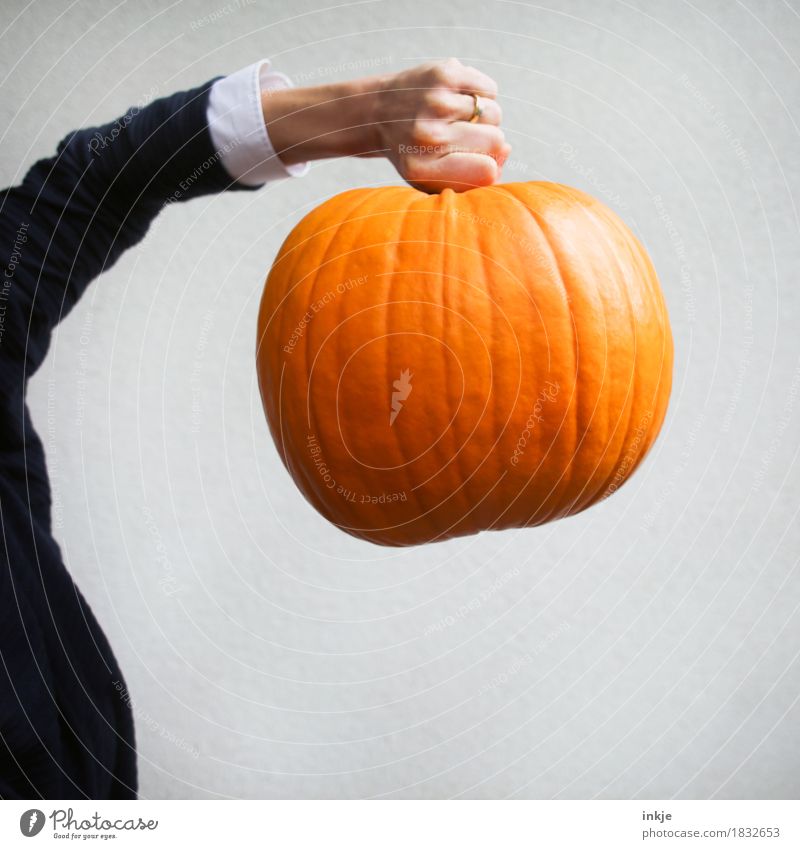 large calibres Pumpkin Pumpkin time Nutrition Leisure and hobbies Thanksgiving Hallowe'en Woman Adults Life Arm Hand 1 Human being Autumn To hold on Carrying