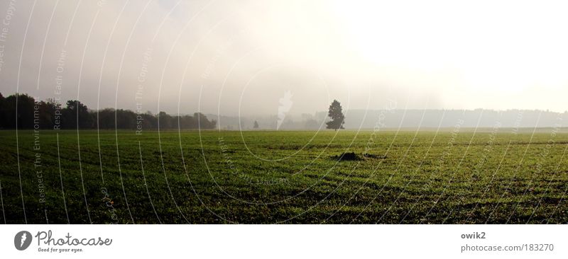 Harz foreland Colour photo Exterior shot Deserted Copy Space left Copy Space top Copy Space bottom Morning Dawn Light Shadow Contrast Sunlight Sunrise Sunset