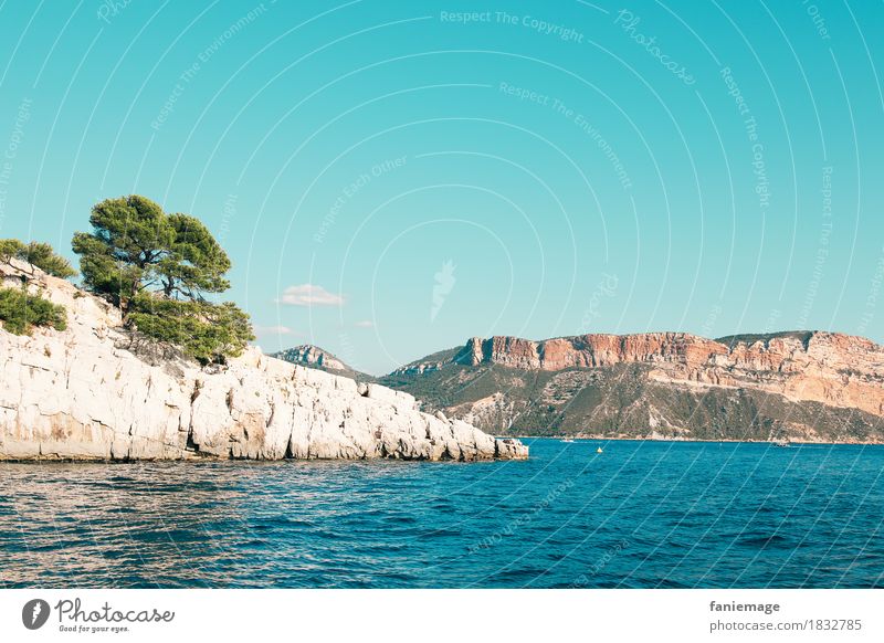 Les calanques de Cassis Lifestyle Leisure and hobbies Driving Calanque d'en Vau Mediterranean sea Stone pine Bay Limestone Wall of rock cap canaille Warmth