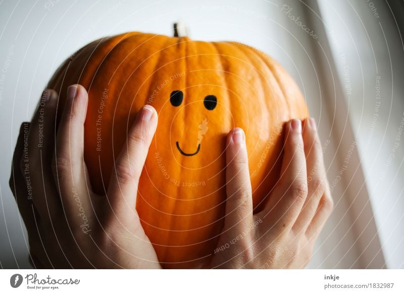 Pumpkin dreams of 31.10. Pumpkin time Joy Leisure and hobbies Thanksgiving Hallowe'en Girl Young woman Youth (Young adults) Woman Adults Infancy Life Face Hand