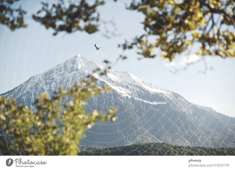 sneezing Landscape Sky Mountain Horizon Nature Environment Colour photo Subdued colour Evening