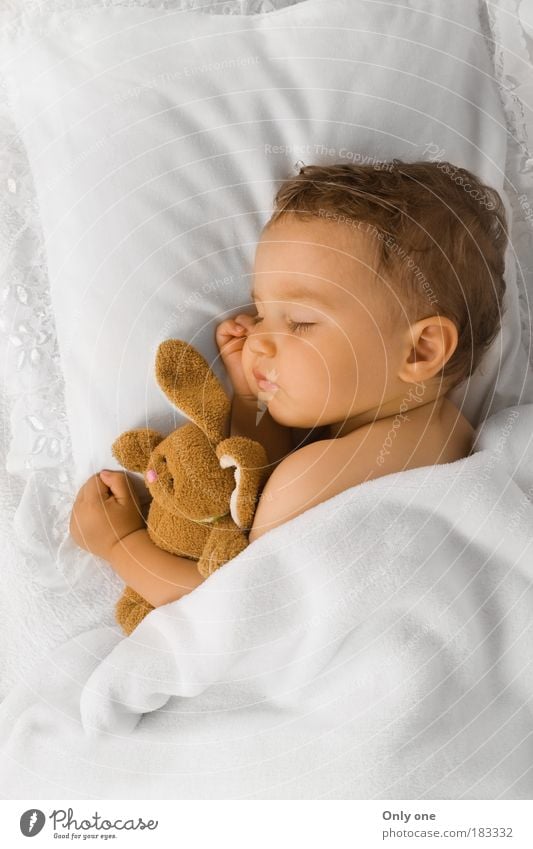 Baby K. Masculine Child Toddler Boy (child) 1 Human being 0 - 12 months 1 - 3 years Brunette Short-haired Toys Cuddly toy Sleep Embrace Warmth Emotions