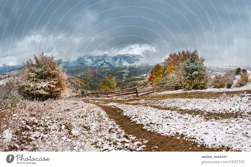 First snow in autumn. Snowfall in mountain village Vacation & Travel Tourism Trip Adventure Far-off places Freedom Winter Mountain Hiking Environment Nature