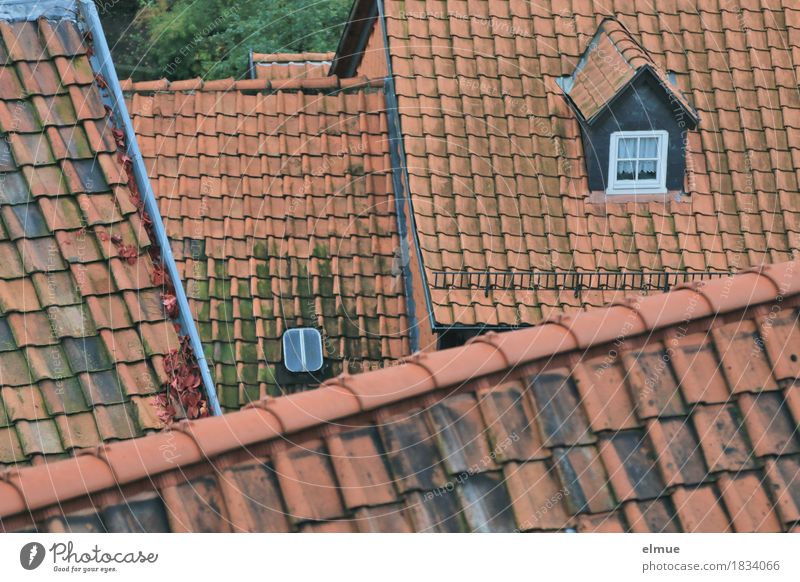 Roofscape (1) Small Town House (Residential Structure) Roof ridge Roofing tile Skylight Old Authentic Exceptional Historic Red Contentment Safety (feeling of)