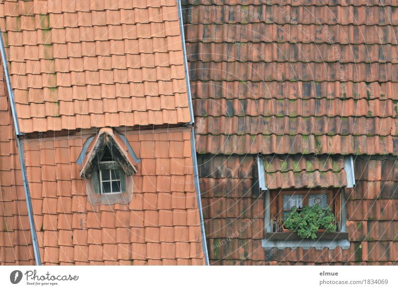 Roofscape (3) Living or residing Flat (apartment) Small Town Old town House (Residential Structure) Window Sharp-edged Historic Uniqueness Red Happy