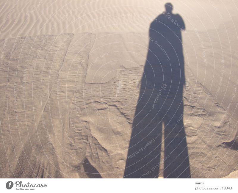 Mr. Sandman. Beach Beach dune Shadow Sahara Desert silhoutte