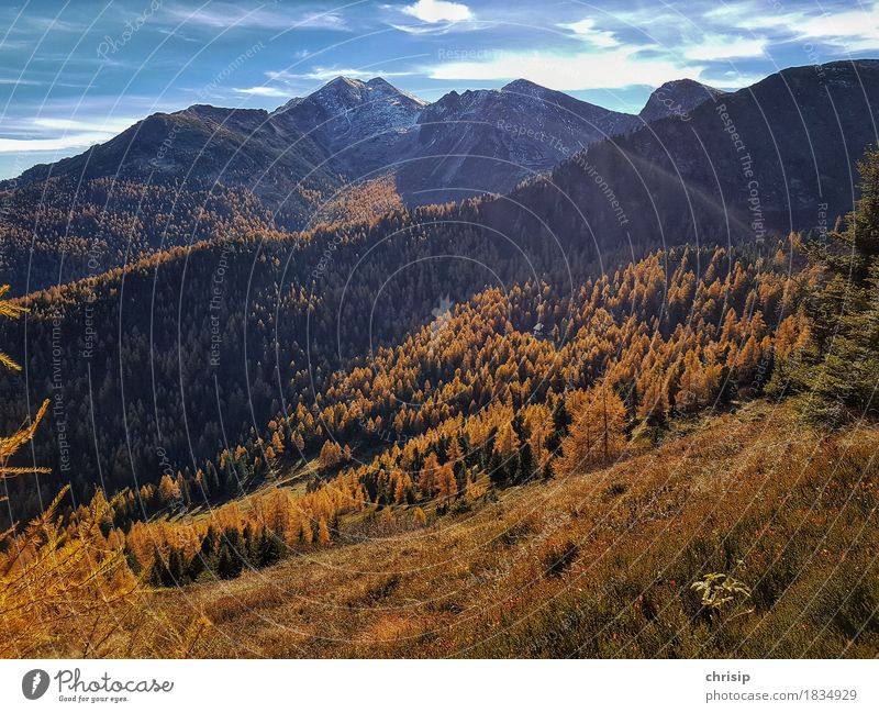 Autumn on the mountain Environment Nature Landscape Sky Clouds Beautiful weather Snow Tree Grass Forest Rock Alps Peak Snowcapped peak Far-off places