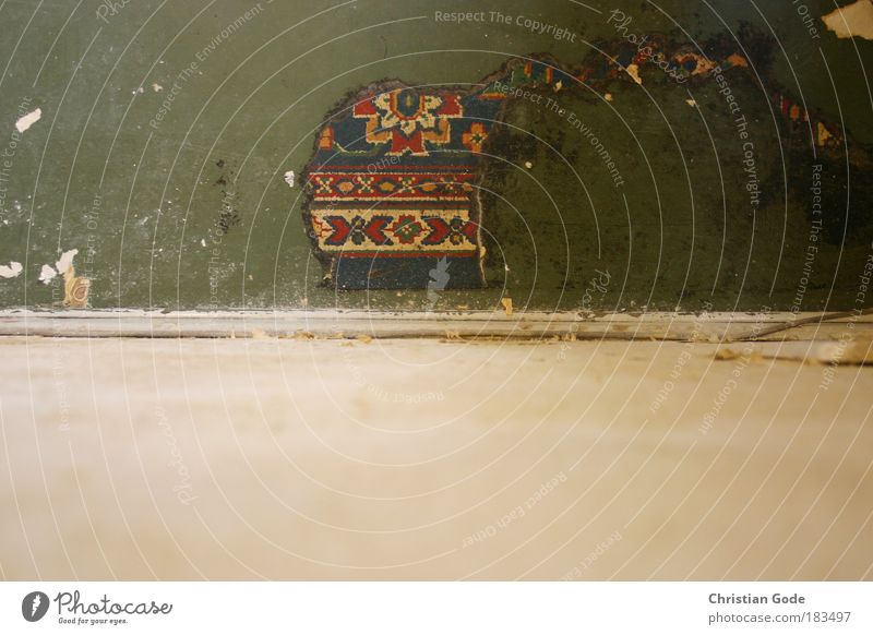 floor covering Colour photo Interior shot Detail Deserted Copy Space bottom Day Artificial light Bird's-eye view Green Wall (building) Floor covering Pattern