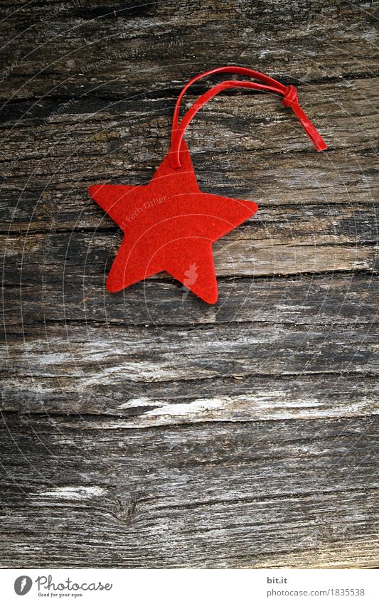 star Handicraft Winter Feasts & Celebrations Christmas & Advent Decoration Sign Red Tradition Christmas tree Christmas decoration Christmas star Felt Wood Rural