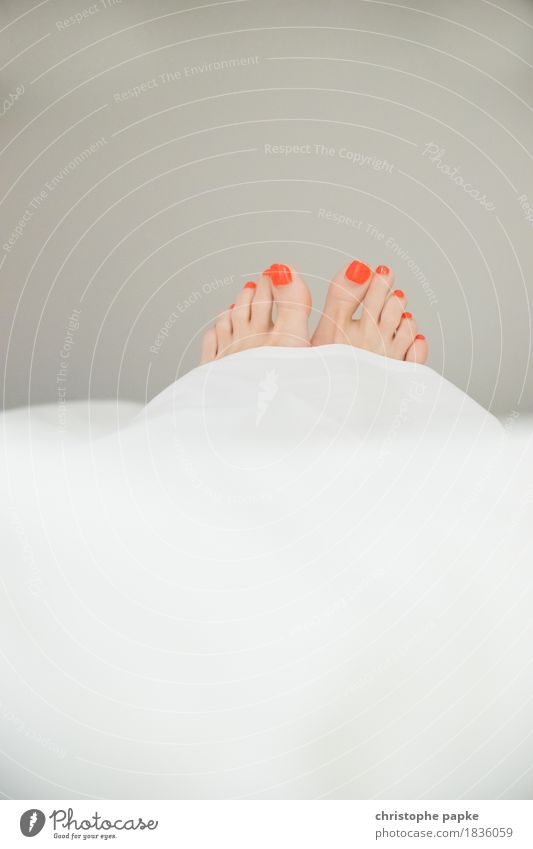Peeping toes II Nail polish Well-being Relaxation Living or residing Flat (apartment) Bedroom Feminine Woman Adults Feet Toes Contentment Lie Duvet Beautiful