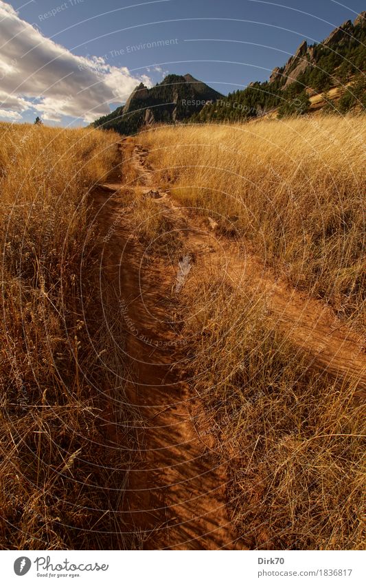 On my way to Bear Peak. Vacation & Travel Adventure Far-off places Freedom Mountain Hiking Mountain hiking Nature Landscape Sand Sky Clouds Autumn