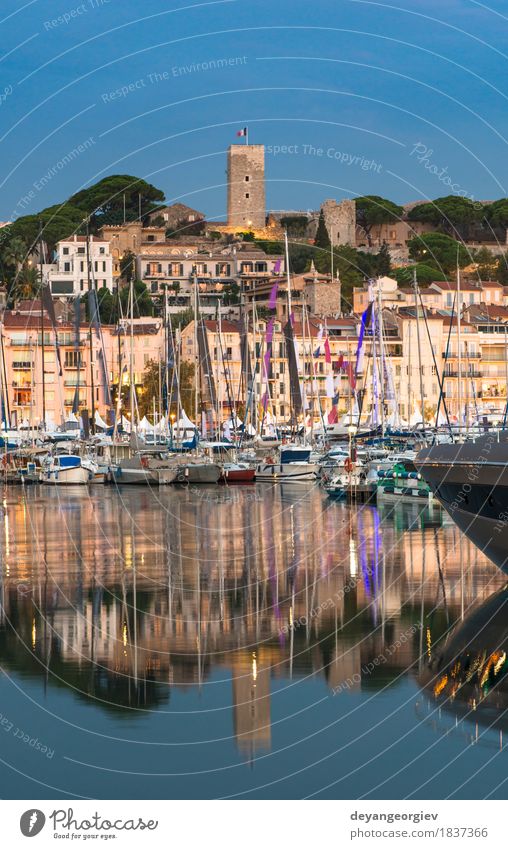 Yachts in the cannes bay at night Vacation & Travel Ocean Sailing Landscape Sky Coast Small Town Building Watercraft Yacht harbour Rich Idyll Cannes port France