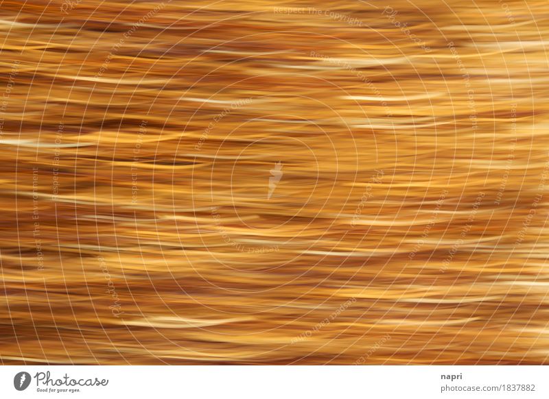 In Laminetta Stupor I Party Inspiration Christmas & Advent Tinsel Gold Intoxication Decoration Background picture Feasts & Celebrations Blur Smooth Abstract