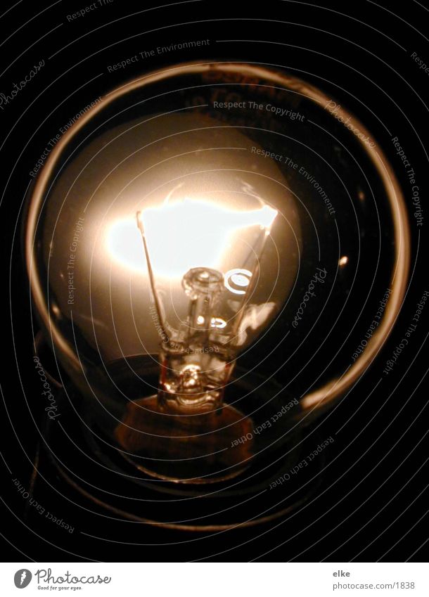 light bulb Light Lamp Electric bulb Electrical equipment Technology Glass Lighting