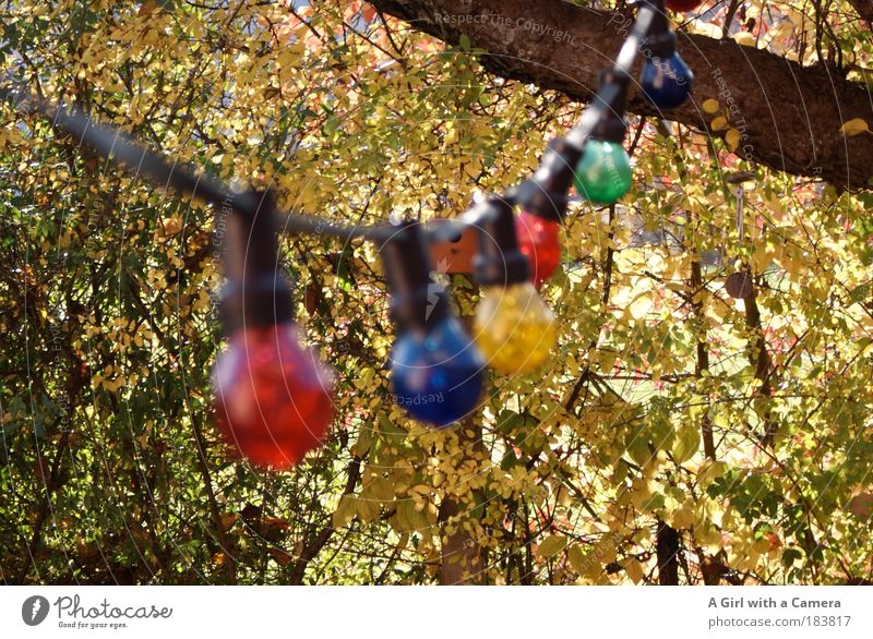 Happy Lights Decoration Lamp Nature Autumn Weather Beautiful weather Glass String Glittering Hang Illuminate Exceptional Friendliness Happiness Bright Round
