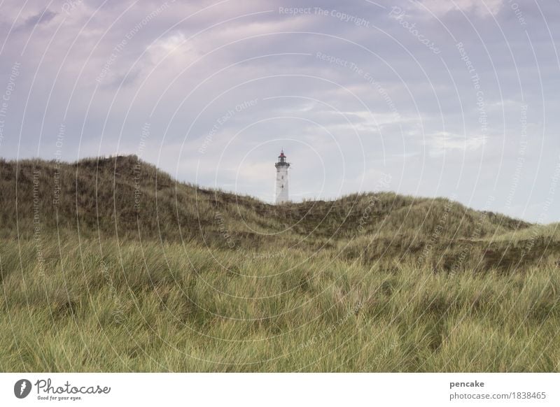 outside the box Nature Landscape Elements Sand Sky Grass North Sea Moody Anticipation Trust Peaceful Serene Calm Longing Denmark Marram grass Dune Lighthouse