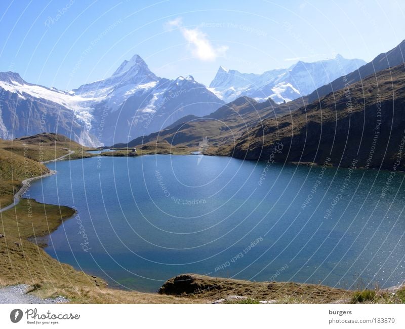 Bachalpsee Colour photo Subdued colour Exterior shot Deserted Copy Space middle Day Light Silhouette Sunlight Long shot Panorama (View) Wide angle Nature