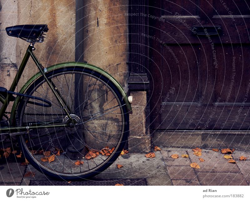 green donkey Lifestyle Leisure and hobbies Living or residing House (Residential Structure) Bicycle Environment Autumn Building Door Transport