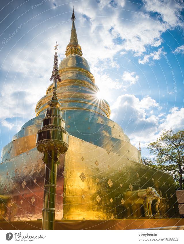 golden pagoda at a temple Lifestyle Art Artist Garden Steel Adventure Colour photo Multicoloured Close-up Detail Macro (Extreme close-up) Deserted