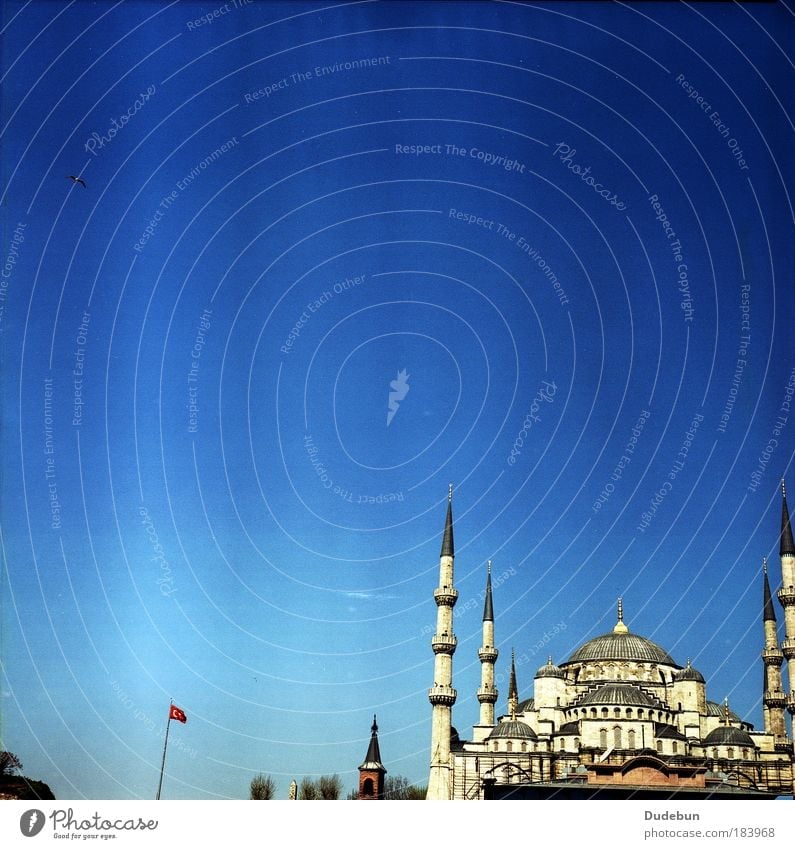 The Blue Mosque Istanbul Church Landmark Historic Religion and faith Blue sky Minaret Islam Place of worship Tourist Attraction Turkey Colour photo