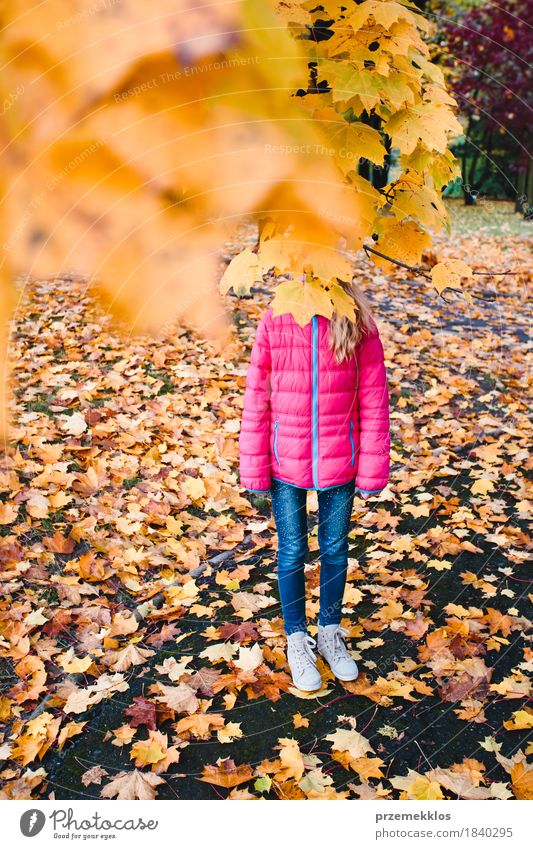 Girl hidden behind yellow autumn leaves in a park Beautiful Garden Nature Autumn Tree Leaf Foliage plant Park Stand Bright Multicoloured Yellow Colour Autumnal