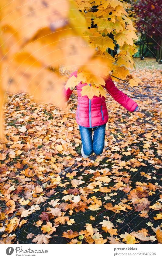 Girl jumping behind yellow autumn leaves in a park Lifestyle Beautiful Garden Youth (Young adults) 1 Human being 8 - 13 years Child Infancy Nature Autumn Tree