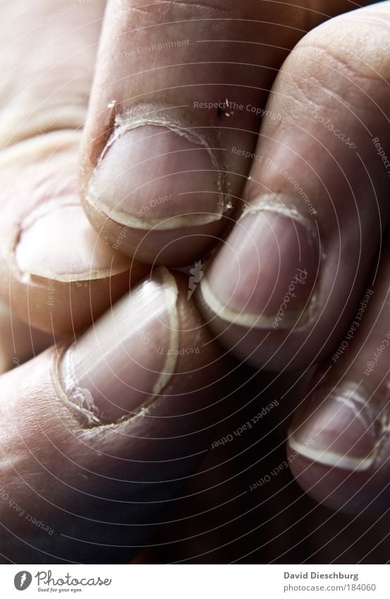 Crisis meeting before hairdresser visit Colour photo Close-up Detail Macro (Extreme close-up) Day Contrast Skin Hand Fingers Fingernail Touch Thumb Forefinger