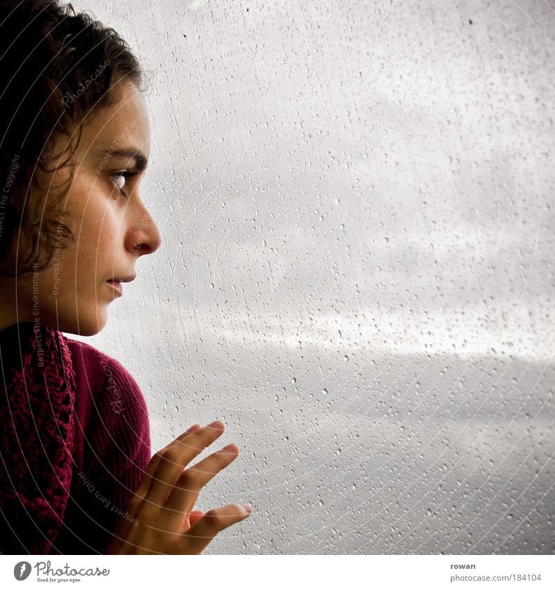 rainy day Colour photo Subdued colour Interior shot Copy Space right Copy Space top Copy Space bottom Copy Space middle Day Twilight Human being Feminine