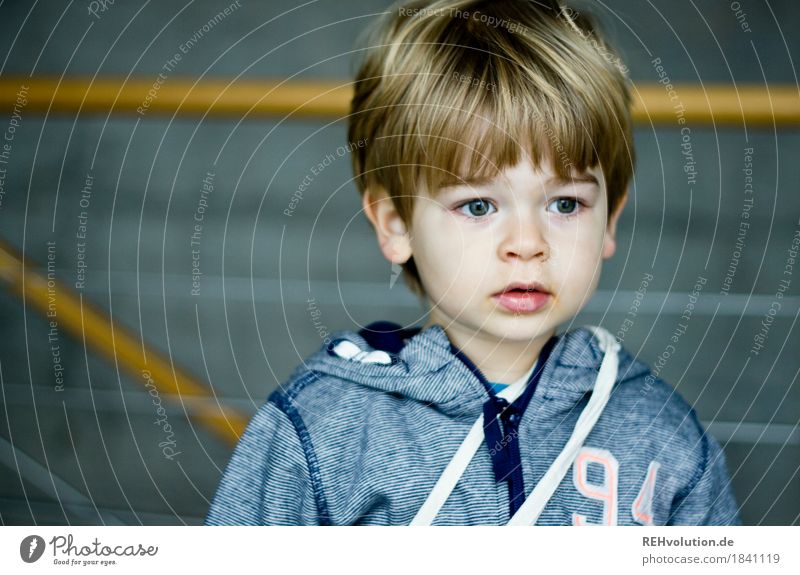 in the university Human being Masculine Child Toddler Boy (child) Face 1 1 - 3 years Sweater Hair and hairstyles Concrete Observe Authentic Small Natural Cute