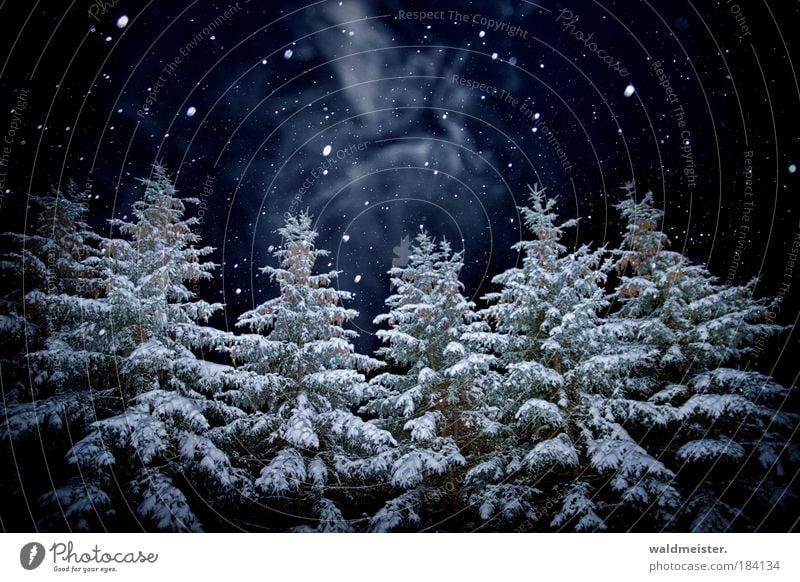 Spirit Of This Year S Christmas Night A Royalty Free Stock Photo From Photocase