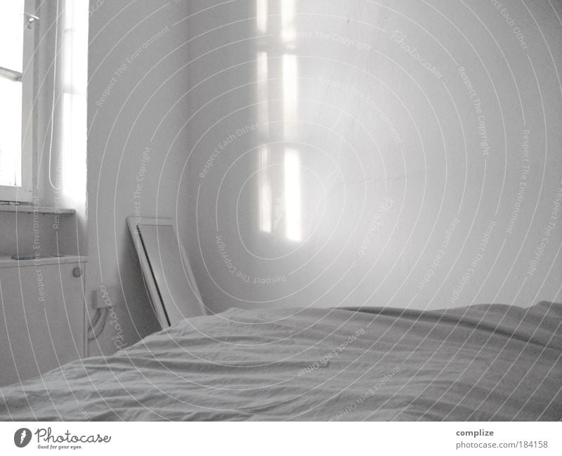 white space Black & white photo Subdued colour Interior shot Copy Space right Copy Space top Copy Space bottom Morning Light Shadow Contrast Silhouette Sunbeam