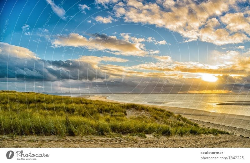 Sunset at Langeoog Nature Landscape Plant Water Sky Clouds Autumn Coast Lakeside North Sea Ocean Island Contentment Joie de vivre (Vitality) Dune Calm Peace