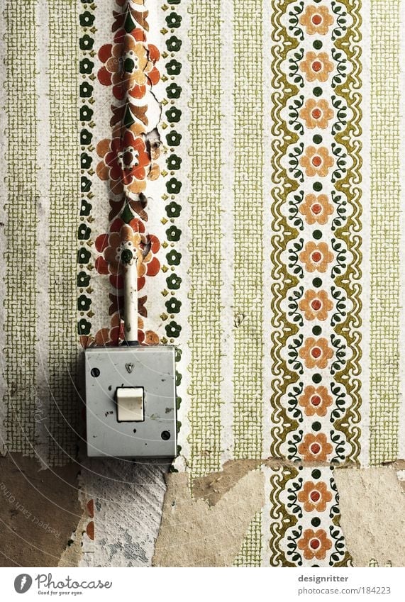 surface Colour photo Subdued colour Interior shot Close-up Deserted Wallpaper Light switch Cable Transmission lines Old Dirty Retro Floral wallpaper