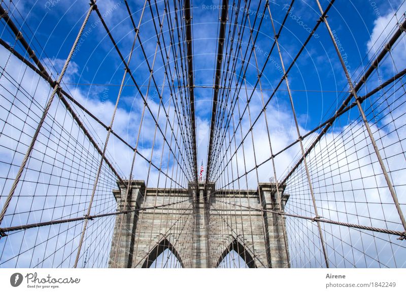 there's another one who knows his way around. Sky Beautiful weather New York City USA Americas Bridge Tourist Attraction Landmark Brooklyn Bridge Stone Metal