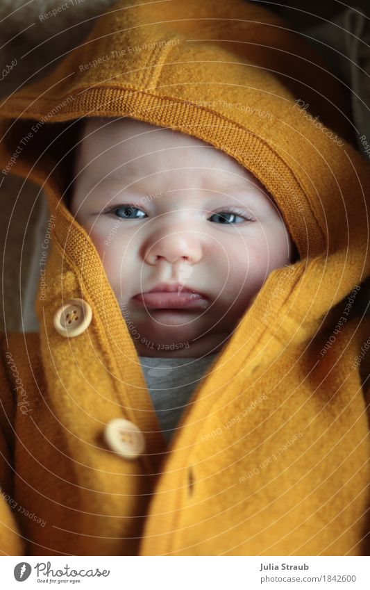 What do you want? Feminine Baby Sister Infancy Head 1 Human being 0 - 12 months Working clothes New wool Wood Buttons Cap Lie Looking Cuddly Small Cute Yellow