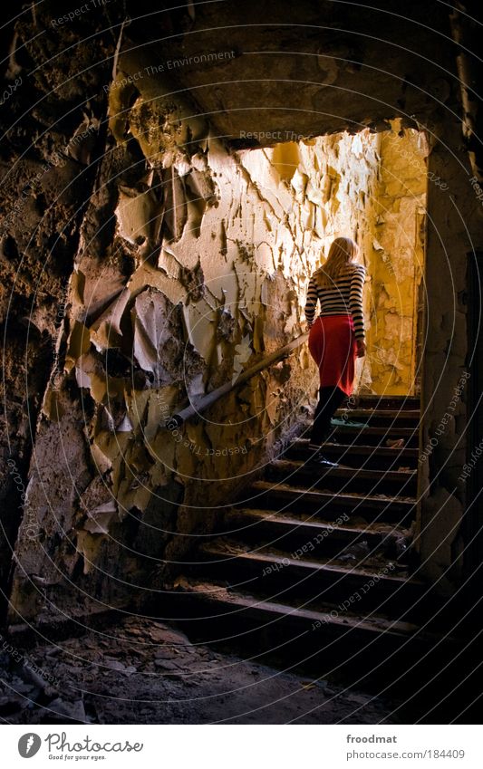 resurrected from ruins Colour photo Interior shot Day Light Full-length Rear view Forward Human being Feminine Young woman Youth (Young adults) Woman Adults