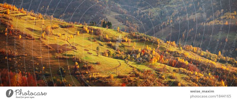 Autumn mountain panorama. October on Carpathian hills. Fall Vacation & Travel Tourism Trip Adventure Far-off places Freedom Mountain