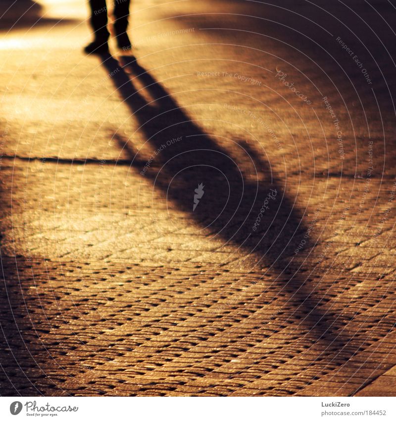 shadow source Colour photo Exterior shot Pattern Copy Space left Copy Space right Copy Space bottom Evening Twilight Light Shadow Contrast Silhouette