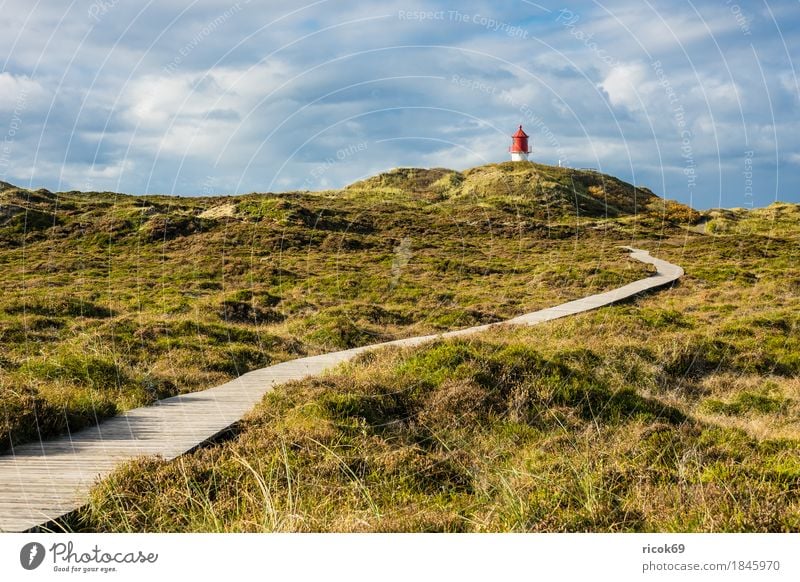 Lighthouse in Norddorf on the island Amrum Relaxation Vacation & Travel Tourism Island Nature Landscape Clouds Autumn Coast North Sea Architecture