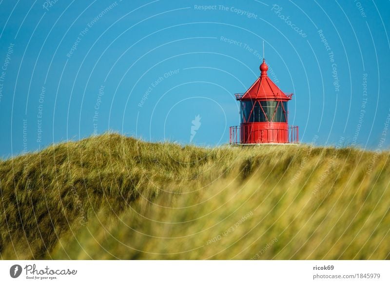 Lighthouse in Norddorf on the island Amrum Relaxation Vacation & Travel Tourism Island Nature Landscape Autumn Coast North Sea Architecture Tourist Attraction