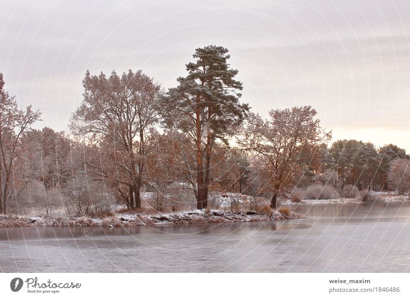 Cold snowy morning on the lake. Late autumn Vacation & Travel Tourism Adventure Freedom Winter Snow Environment Nature Landscape Plant Sky Clouds Sunrise Sunset