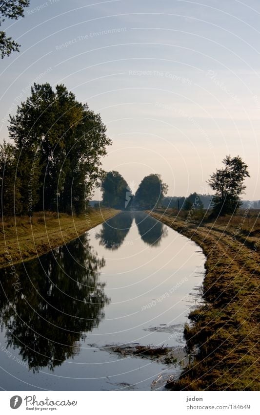 at the bend of the river Exterior shot Deserted Copy Space top Morning Central perspective Calm Nature Landscape Plant Water Tree River bank Natural Longing