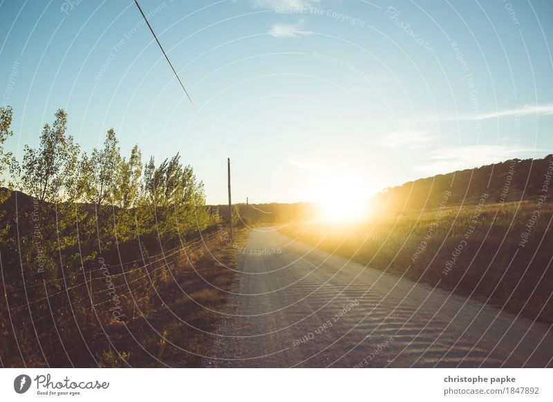 The day's too bright Vacation & Travel Trip Summer Summer vacation Sun Environment Nature Landscape Beautiful weather Warmth Meadow Field Portugal Street