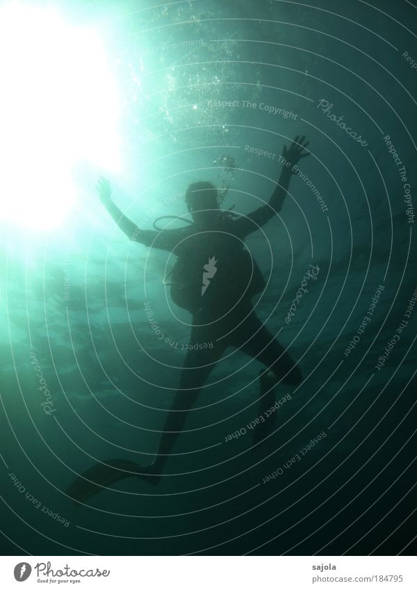 towards the light Human being Masculine Man Adults 1 Elements Water Ocean Breathe Dive Esthetic Freedom Leisure and hobbies Water wings Diver Air bubble Sun